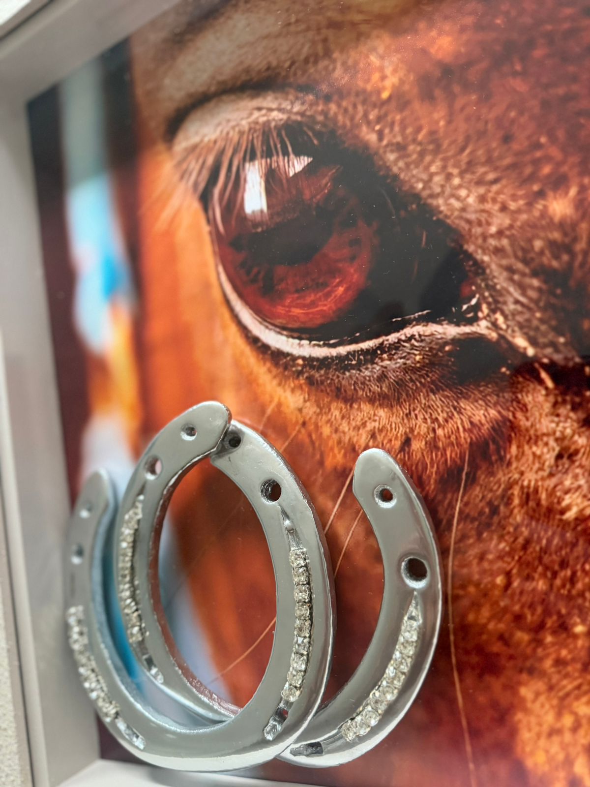 Obra Glam Horseshoes